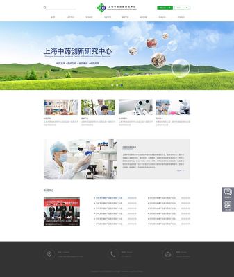 上海企业网站建设 打造企业数字化转型的核心枢纽